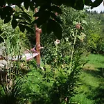 Górski Strumień Habitación en casa particular *