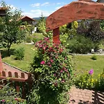 Górski Strumień * Stronie Śląskie