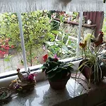 Górski Strumień Stronie Śląskie