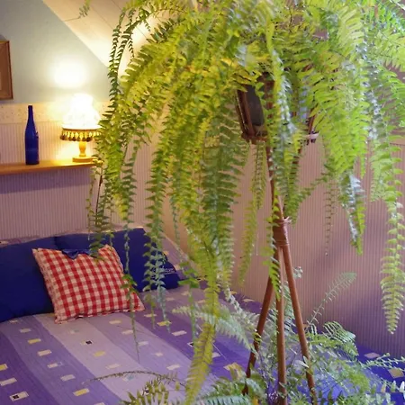 Górski Strumień * Stronie Śląskie