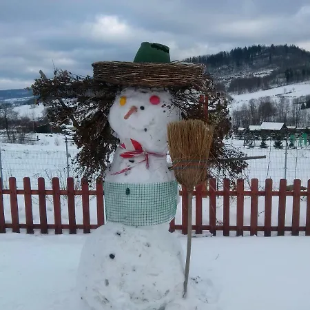 Gorski Strumien Alloggio in famiglia Stronie Śląskie