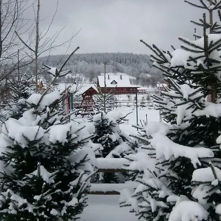 Górski Strumień Kwatera prywatna Stronie Śląskie