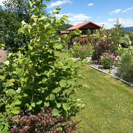 Gorski Strumien Stronie Slaskie