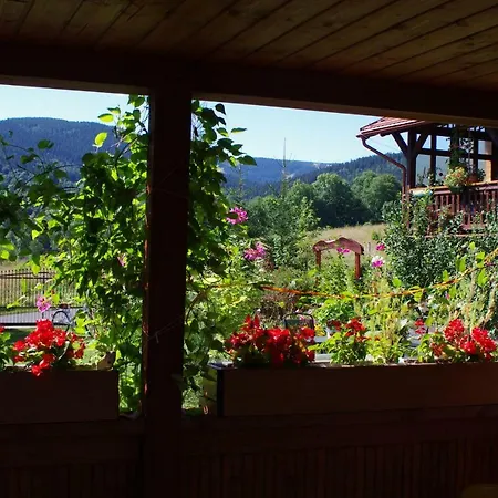 Górski Strumień Kwatera prywatna Stronie Śląskie