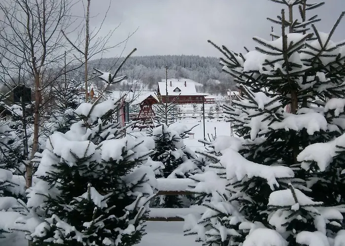 Gorski Strumien Homestay Stronie Slaskie