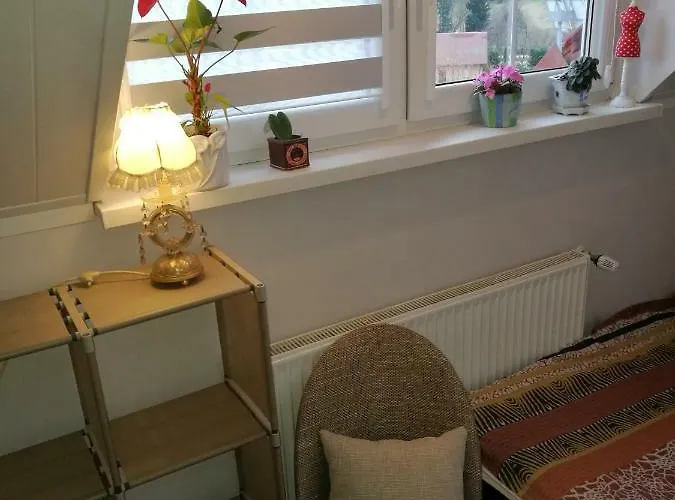 Homestay Gorski Strumien *