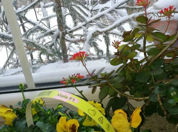 Gorski Strumien Privatunterkunft Stronie Śląskie