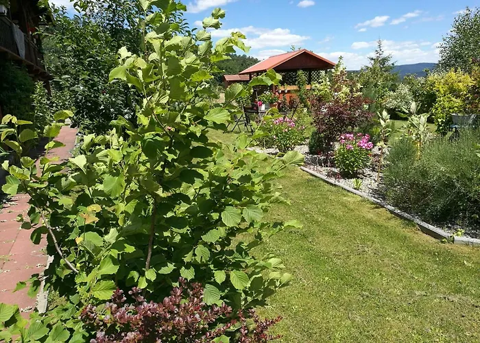 Gorski Strumien Stronie Slaskie