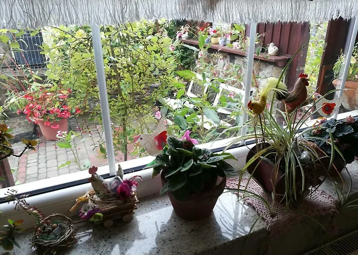 Gorski Strumien Stronie Slaskie